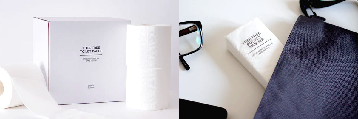 Toilet Paper & Pocket Tissues