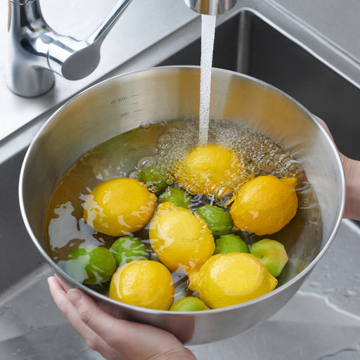 Stainless Steel Bowl (Dia. 11") MUJI