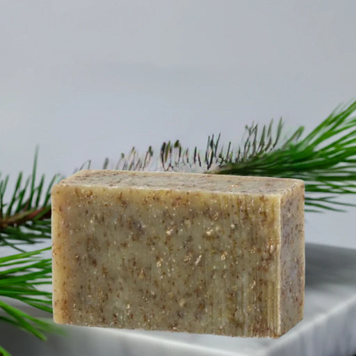 #26SS - Forest Bar Soap Oregon Soap Company