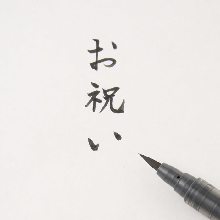 FHYHEJ Hand Lettering Pens, Calligraphy Pen,Refillable