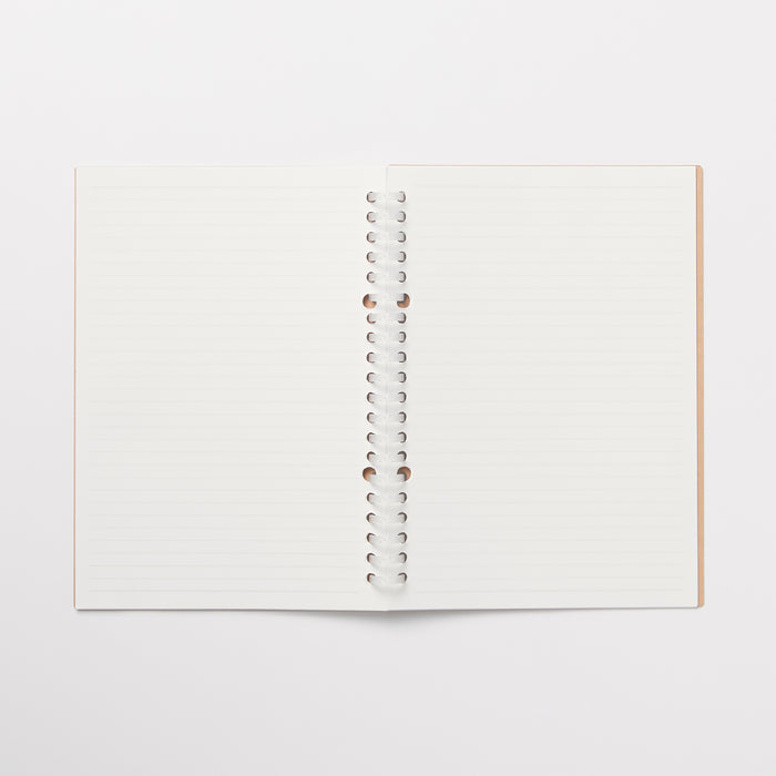 muji card binder Binder A4 30 Rings