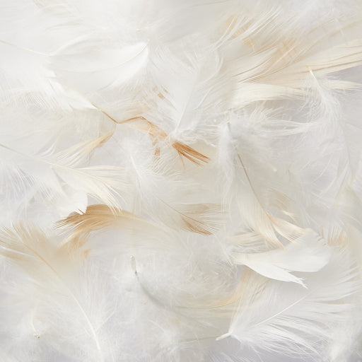 Feather Cushion MUJI